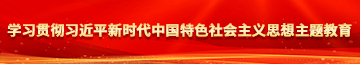 大鸡吧操骚逼操嘴学习贯彻习近平新时代中国特色社会主义思想主题教育